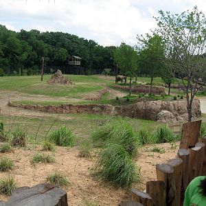 Giants of the Savanna: Part of "South Habitat"