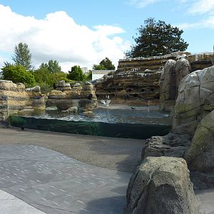 Humboldt Penguin Exhibit