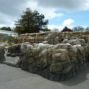 Humboldt Penguin Exhibit