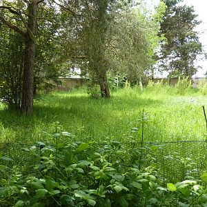 White-Naped Crane Exhibit