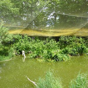 Walk-Through Waterfowl Aviary