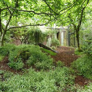 Bali Mynah/Malay Great Argus Exhibit