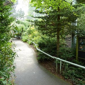 Conservation Aviary - Pathway
