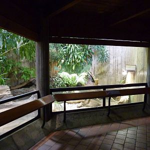 Rhinoceros Iguana Exhibit