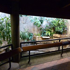 Dwarf Crocodile Exhibit