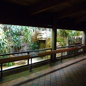 Yellow-Spotted Sideneck Turtle Exhibit