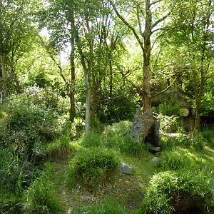 Colobus Monkey/Red-Flanked Duiker Exhibit