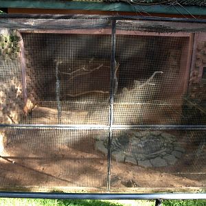 Tsimbazaza Zoo - Ibis aviary