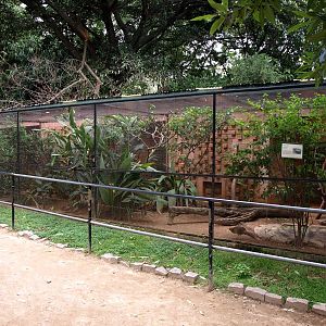Tsimbazaza Zoo - Pheasantry