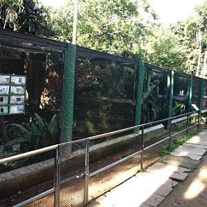 Tsimbazaza Zoo - Aviaries
