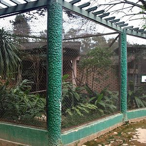 Tsimbazaza Zoo - Ibis aviary