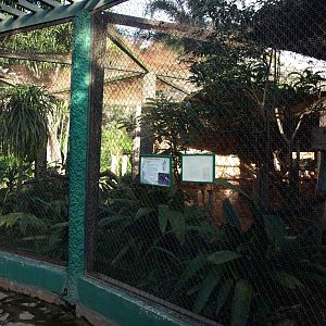 Tsimbazaza Zoo - Ibis aviary