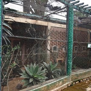 Tsimbazaza Zoo - Coua aviary