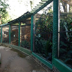 Tsimbazaza Zoo - Aviaries