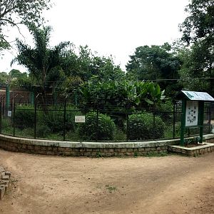 Tsimbazaza Zoo - Crocodile exhibit