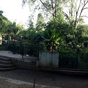 Tsimbazaza Zoo - Crocodile exhibit