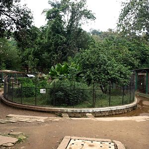 Tsimbazaza Zoo - Crocodile exhibit