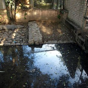 Tsimbazaza Zoo - Old crocodile exhibit