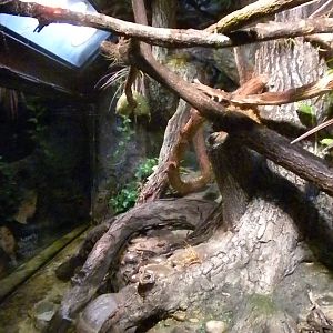 Reptile Building and Aquarium