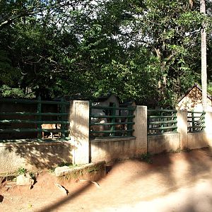 Tsimbazaza Zoo - Children's Zoo