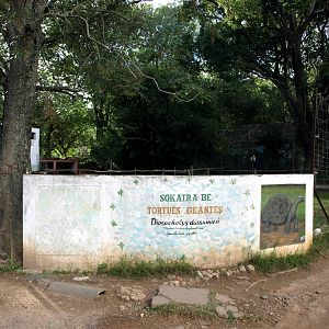 Tsimbazaza Zoo - Tortoise sign