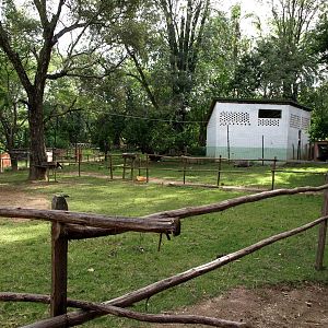 Tsimbazaza Zoo - Tortoise and ostrich exhibit