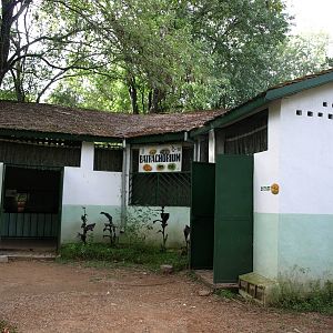 Tsimbazaza Zoo - Batrachorium