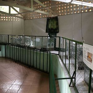 Tsimbazaza Zoo - Batrachorium