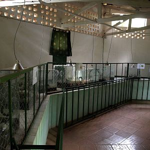 Tsimbazaza Zoo - Batrachorium