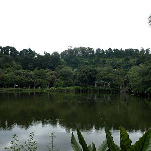 Tsimbazaza Zoo - Lake