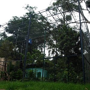 Tsimbazaza Zoo - Ruffed lemur exhibit