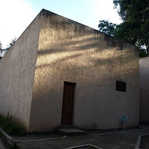 Tsimbazaza Zoo - Nocturnal House