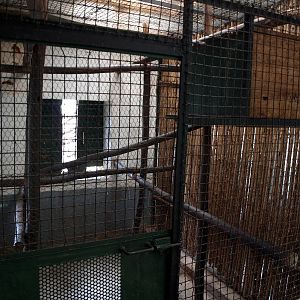 Tsimbazaza Zoo - Aye-Aye Breeding Centre