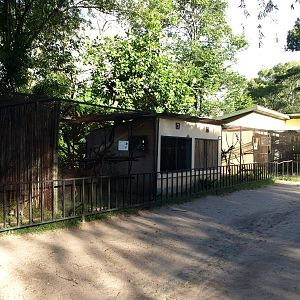 Tsimbazaza Zoo - Lemur exhibits