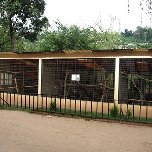 Tsimbazaza Zoo - Lemur exhibits