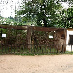 Tsimbazaza Zoo - Lemur exhibits