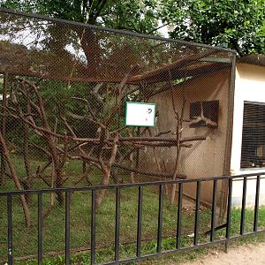 Tsimbazaza Zoo - Lemur exhibit