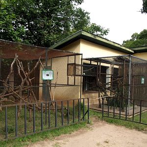Tsimbazaza Zoo - Lemur exhibits