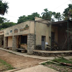 Tsimbazaza Zoo - Vivarium