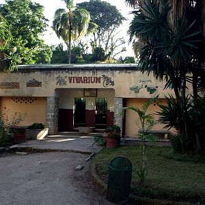 Tsimbazaza Zoo - Vivarium