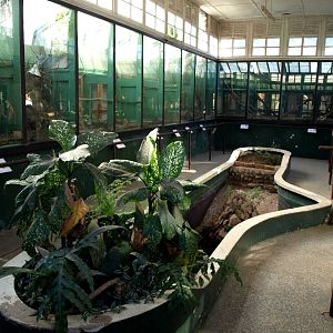 Tsimbazaza Zoo - Vivarium