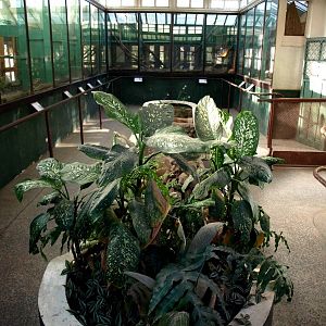 Tsimbazaza Zoo - Vivarium