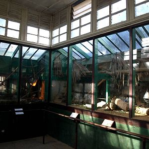 Tsimbazaza Zoo - Vivarium