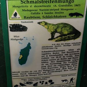 Tsimbazaza Zoo - Name that sign?