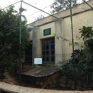 Tsimbazaza Zoo - Vivarium