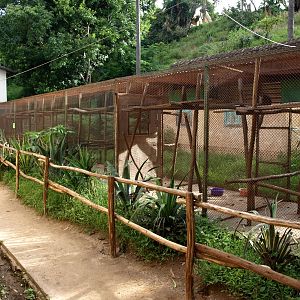 Tsimbazaza Zoo - Lemur cages
