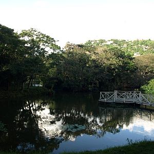Tsimbazaza Zoo - Lake