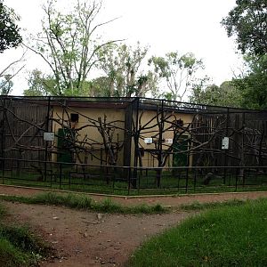 Tsimbazaza Zoo - Round House