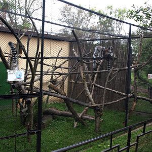 Tsimbazaza Zoo - Round House