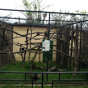 Tsimbazaza Zoo - Round House